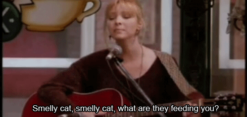 smellycat